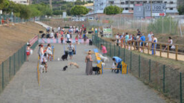 Parque Canino Guau Guau 2